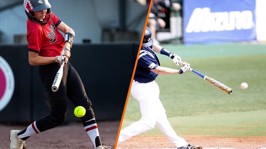 difference between baseball and softball bats