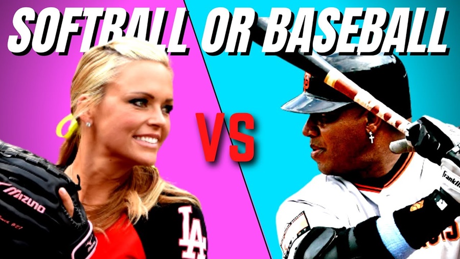 Softball League vs Baseball League: Which Fits You Best?